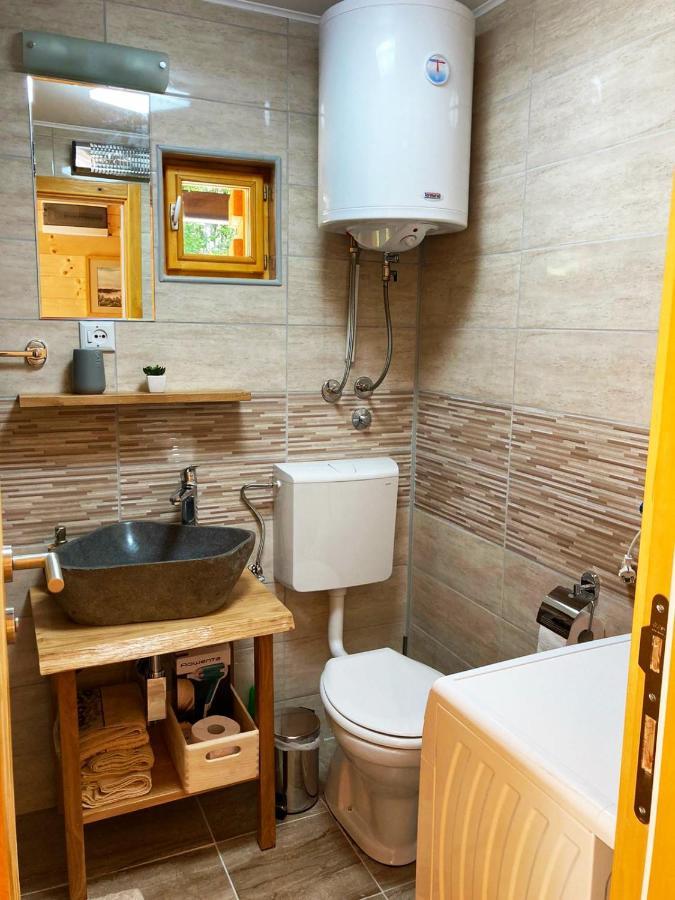 Dren Chalet Lux - Banjska Stena ペルチャツ エクステリア 写真
