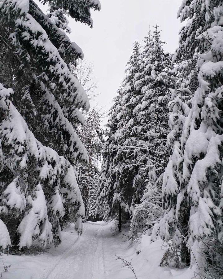 Dren Chalet Lux - Banjska Stena ペルチャツ エクステリア 写真